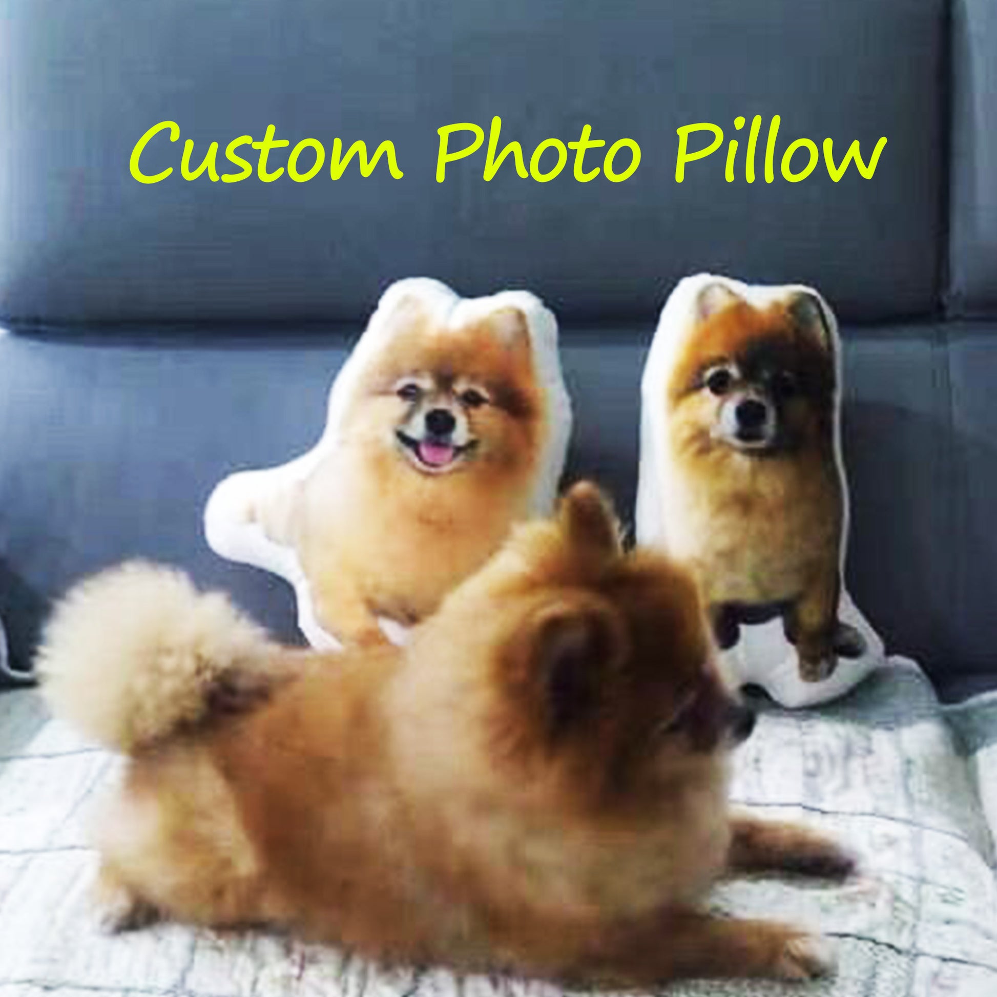 A Pomeranian is sitting on the bed, with two plush toys with personalized covers printed with two of its different shapes of photos behind it